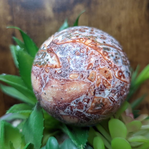 ๐ leopard Jasper Sphere ๐ - Picture 4 of 5
